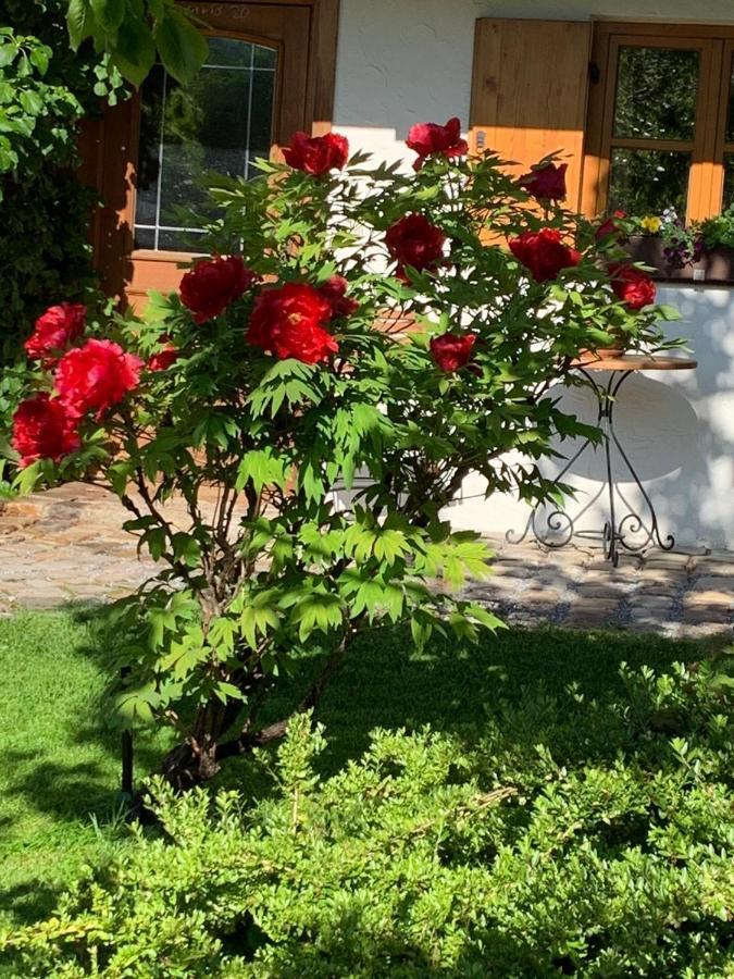 Ferienwohnung Fanese Флинтсбах Экстерьер фото